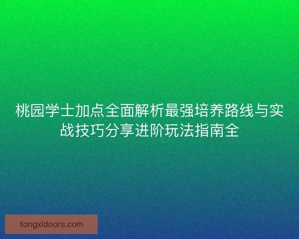 桃园学士加点全面解析最强培养路线与实战技巧分享进阶玩法指南全