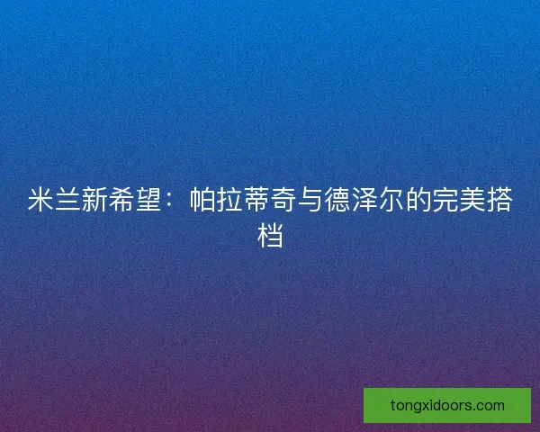 米兰新希望：帕拉蒂奇与德泽尔的完美搭档