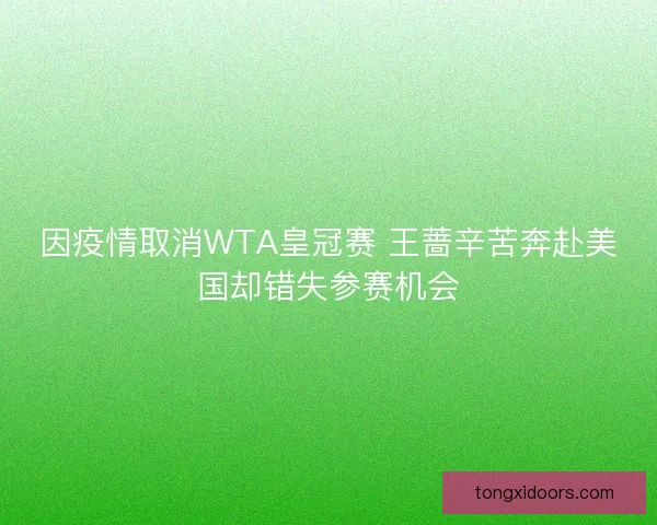 因疫情取消WTA皇冠赛 王蔷辛苦奔赴美国却错失参赛机会