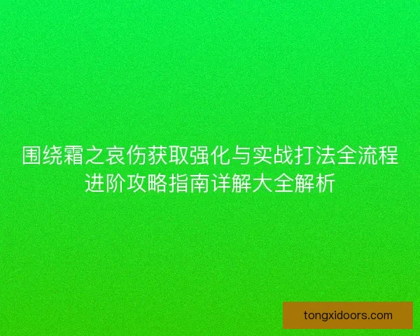 围绕霜之哀伤获取强化与实战打法全流程进阶攻略指南详解大全解析