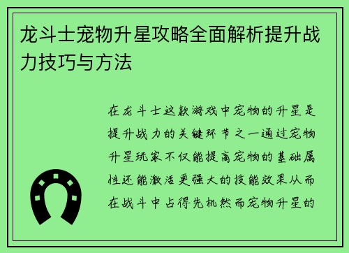 龙斗士宠物升星攻略全面解析提升战力技巧与方法